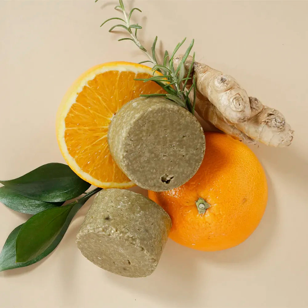 ROSMARIN – Champú vigorizante de romero, para cuero cabelludo medio y seco, té matcha y ginkgo biloba