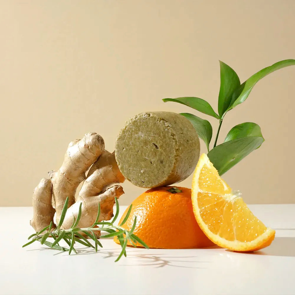 ROSMARIN – Champú vigorizante de romero, para cuero cabelludo medio y seco, té matcha y ginkgo biloba